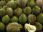 festival-durian-sinapeul-2017_20171204_192244.jpg