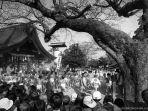 festival-hadaka-matsuri.jpg