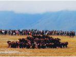 festival-lembah-baliem-1.jpg