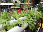 festival-napi-berkebun_20151218_182856.jpg