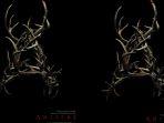 film-antlers.jpg