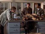 film-evolution-2001.jpg