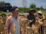 film-petani1233.jpg
