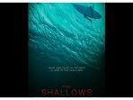 film-the-shallows3.jpg