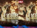 film-tiger-zinda-hai.jpg