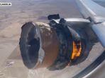flight.jpg