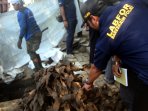 forensik-mabes-polri-lakukan-olah-tkp-kulit-kabel_20160310_153840.jpg