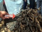 forensik-mabes-polri-lakukan-olah-tkp-kulit-kabel_20160310_154723.jpg