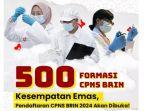 formasi-cpns-brin-2024.jpg