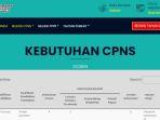 formasi-cpns-kemenkes-2023.jpg