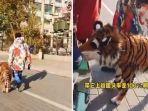 foto-kolase-yang-memperlihatkan-anjing-dicat-loreng-agar-menyerupai-harimau-di-china.jpg