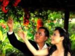 foto-prewed-Roy.jpg
