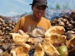 fotona-Industri-sabut-kelapa.jpg