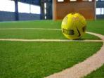 futsal-logo_20150528_185528.jpg