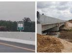 gajah-di-jalan-tol-jalan-tol-pekanbaru-dumaikiri-34.jpg