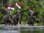 gajah-sumatera-menyambut-perayaan-kemerdekaan-indonesia_20220813_231731.jpg