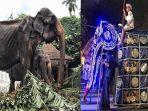 gajah-tikirii.jpg