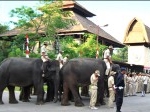 gajah-upacara.jpg