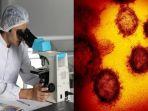 gambar-dan-bentuk-virus-corona-dari-mikroskop.jpg