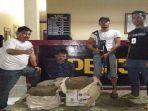 ganja-aceh-ok.jpg