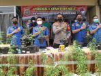ganja-hidroponik-asli-brebes-2.jpg