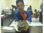 ganja-hs_20161011_212726.jpg