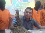 ganja-satu-kilogram_20160202_175147.jpg