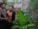 ganja_20170908_072627.jpg