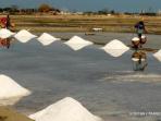 garam-berproduksi_20141207_090800.jpg