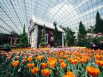 garden-by-the-bay-di-singapore_20150425_095153.jpg