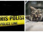 garis-polisi-dan-kucing-mati-mendadak-di-malang.jpg