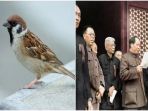 gegara-bunuhi-burung-emprit-akibatnya-45-juta-orang-tewas-karena-kelaparan_20181011_121420.jpg