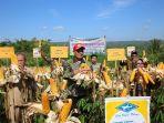 gelaran-panen-raya-jagung-di-desa-getas-kecamatan-playen-kabupaten-gunung-kidul.jpg