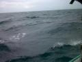 gelombang-di-perairan-batu-dinding-selat-nasik-mencapai-lebih-dari-satu-meter.jpg