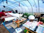 gempa-jepang-nih6_20160420_172216.jpg