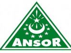 gerakan-pemuda-ansor-logo_20170811_171046.jpg