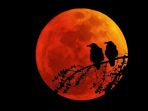 gerhana-bulan-total-alias-blood-moon_20180727_145245.jpg