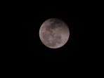 gerhana-bulan-total-super-blood-moon-di-samarinda_20210527_185959.jpg