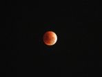 gerhana-bulan-total-super-blue-blood-moon_20180201_123042.jpg