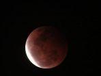 gerhana-bulan1111.jpg