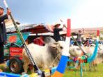 gerobak-sapi-wisata_20150430_091559.jpg