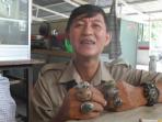 gigi-palsu-batu_20160120_082622.jpg