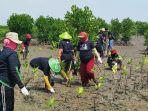 gmp-tanam-mangrove.jpg