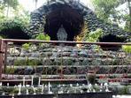 goa-maria-bunda-nazareth-pereng-getasan_20161022_090608.jpg