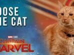 goose-the-cat.jpg