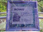 gorila-komu-di-tm-ragunan_1.jpg