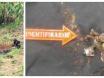 granat-di-tamansari-bogor-bukan-granat-militer.jpg
