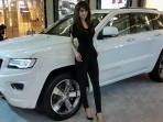 grand-cherokee-paling_20150226_195700.jpg
