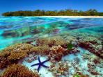 great-barrier-reef_20150713_132419.jpg