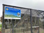 greenhouse-konservasi-anggrek-di-dukuh-gumuk-desa-mriyan-musuk-boyolali.jpg